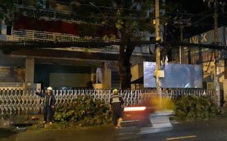 TP.HCM: Cành cây gãy đổ, đè chết người trên đường Tô Hiến Thành