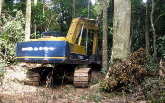 San ủi rừng gây thiệt hại cho nhà nước gần 6,2 tỉ đồng