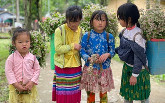 Người Sài Gòn có thể đi Hà Giang đúng mùa hoa tam giác mạch với điều kiện đơn giản