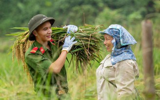 12 đội hình tham gia các hoạt động tình nguyện tại Đảo thanh niên