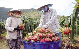 Việt - Trung phối hợp giải quyết vướng mắc trong các dự án hợp tác