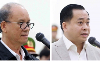 Vụ thâu tóm đất công tại Đà Nẵng: Phan Văn Anh Vũ lĩnh án 25 năm tù