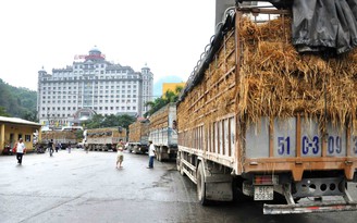 Nhiều giám đốc sở, vụ trưởng trình độ rất lơ mơ