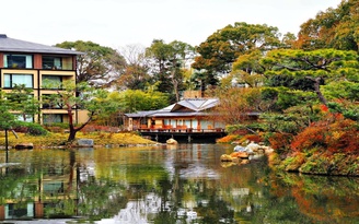 Đến Kyoto ở đâu lý tưởng nhất?