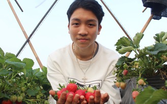 Vườn 'treo' của thanh niên 17 tuổi: Kiếm tiền triệu từ rau sạch