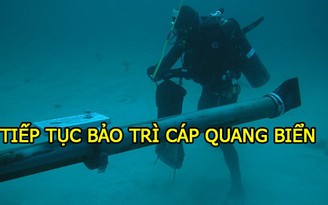 Cáp quang biển Liên Á đứt, game thủ Việt 'tạm nghỉ' game quốc tế 1 tuần