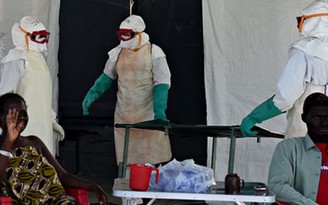 Số người nhiễm Ebola ở Tây Phi tăng trên 19.000