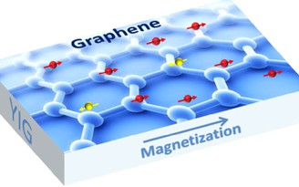 Graphene từ tính