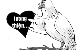 Vườn hồng