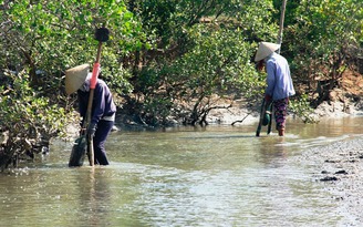 Những phận đời bên sông Trường Giang