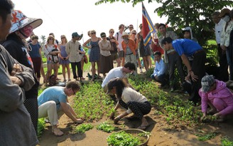 Không thể bỏ qua làng rau Trà Quế khi đến Việt Nam