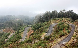 Sẽ có tuyến cáp treo lên Hòn Bà