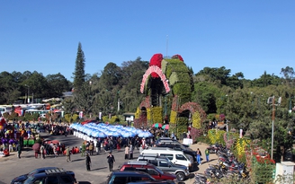 Festival hoa Đà Lạt níu chân du khách