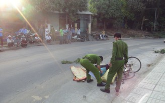 Bắt nghi phạm lái ô tô đâm chết người bán trà đá