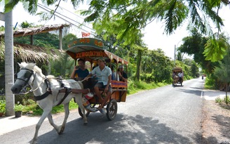 Bấp bênh phận chèo đò, đánh xe ngựa ở miền Tây