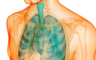 5 thói quen có thể khiến phổi bị ảnh hưởng nghiêm trọng