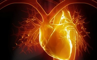 Vitamin D giúp chữa bệnh suy tim