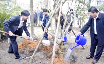 Tết trồng cây Xuân Quý Mão: Đà Nẵng khuyến khích 'xanh hóa' trụ sở