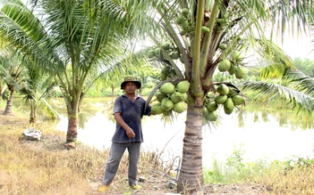 Bí thư chi bộ với mô hình nông dân sản xuất kinh doanh giỏi