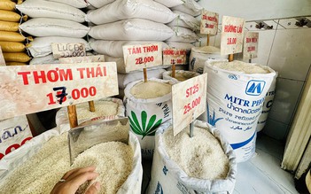 Gạo nội địa tăng theo giá xuất khẩu
