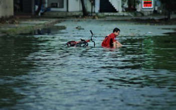 TP.HCM có mưa to giữa trưa: Cây bật gốc, đường phố mênh mông nước