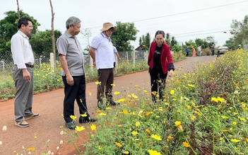 Bà Rịa - Vũng Tàu: Một huyện trồng hoa hơn 600km đường giao thông