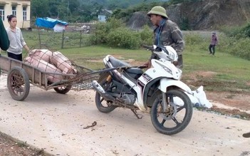 Dịch bệnh bùng phát ở miền núi Quảng Bình, tiêu hủy hàng trăm con heo