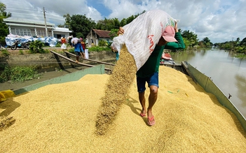 Tin tức đặc biệt trên báo in Thanh Niên 2.11.2023