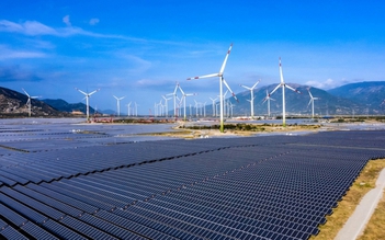 EVN được lựa chọn nhà máy điện gió, mặt trời chuẩn để tính khung giá phát điện