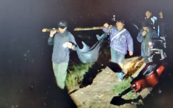 Đắk Lắk: Trú mưa trong rừng, 3 người bị cây ngã đổ đè tử vong
