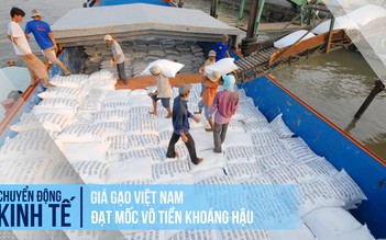 Giá gạo Việt Nam đạt mốc 'vô tiền khoáng hậu'