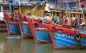 Hơn 700 tàu cá Quảng Ngãi nằm bờ vì không đăng kiểm, đăng ký