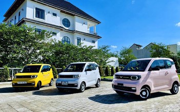 TMT Motors ưu đãi đặc biệt 20 triệu đồng/xe điện Mini EV cho 500 khách hàng