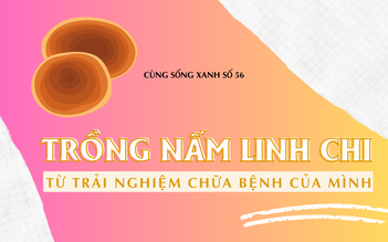 Cùng sống xanh số 56: Trồng nấm linh chi từ trải nghiệm chữa bệnh của chính mình