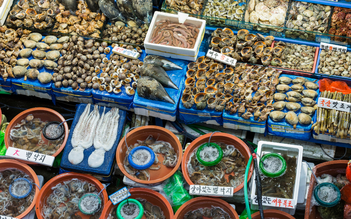 Khu chợ Noryangjin - Thiên đường hải sản tươi sống tại Seoul