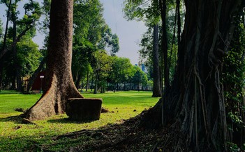 Vòng tay Tao Đàn