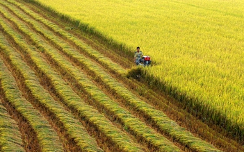 Bộ trưởng Lê Minh Hoan: Ngành lúa gạo chuyển mình để thích ứng với ‘3 biến’