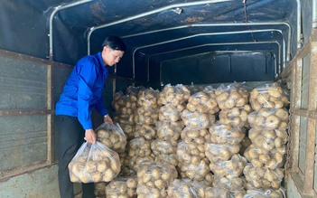 Tỉnh đoàn Quảng Ngãi kêu gọi hỗ trợ tiêu thụ 100 tấn củ sắn giúp dân