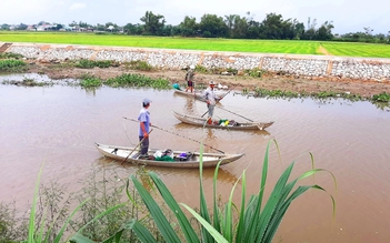 Bình Định: Đi rà cá bị điện giật tử vong