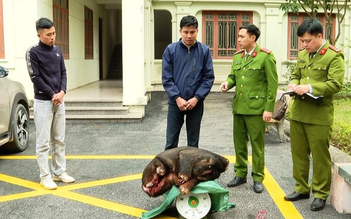 Bắt quả tang hai người vận chuyển cá thể sơn dương trái phép