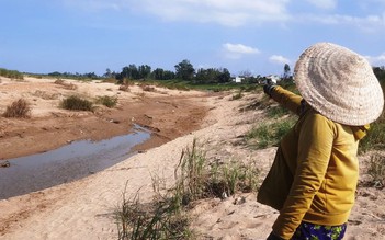 Quảng Nam: Dân gửi đơn tập thể kiến nghị 'cứu' hàng chục ha lúa vì nguy cơ mất trắng