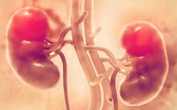 Hy vọng mới giúp ngăn biến chứng thận do tiểu đường