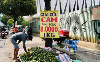 Trái cây rớt thảm, giá nào cũng có