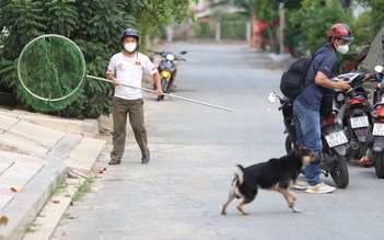 11 lần ra quân, bắt được 53 con chó thả rông