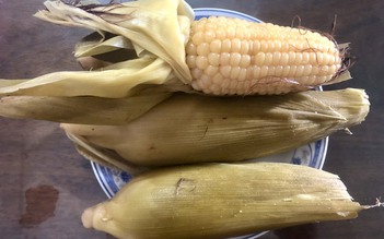Bắp luộc, cuộc tương phùng