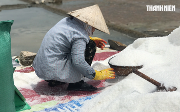 Quảng Ngãi: Giá muối tăng kỷ lục, diêm dân không có muối để bán