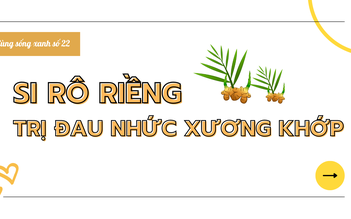 Cùng sống xanh số 22: Đau nhức 10 năm bỗng khỏe lên nhờ uống món si rô này chưa đầy tháng