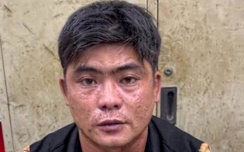 TP.HCM: Bắt nghi phạm cướp giật điện thoại, giằng co với người phụ nữ