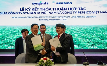 Trồng khoai tây bền vững với PepsiCo, Syngenta, nông dân thu lãi cả trăm triệu đồng