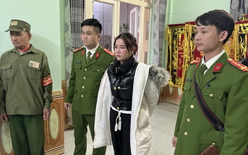 Bắt người phụ nữ ở Quảng Bình lừa đảo, mạo danh chiếm đoạt hàng chục tỉ đồng